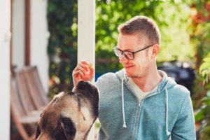 Alimentazione del cane - le migliori crocchette per cani